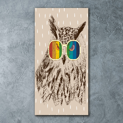 Tablou acrilic Owls ochelari