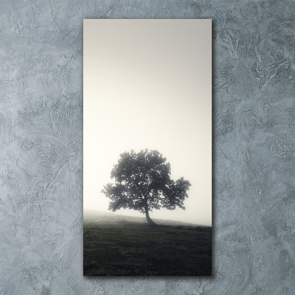 Tablou pe sticlă acrilică Arborele în ceață