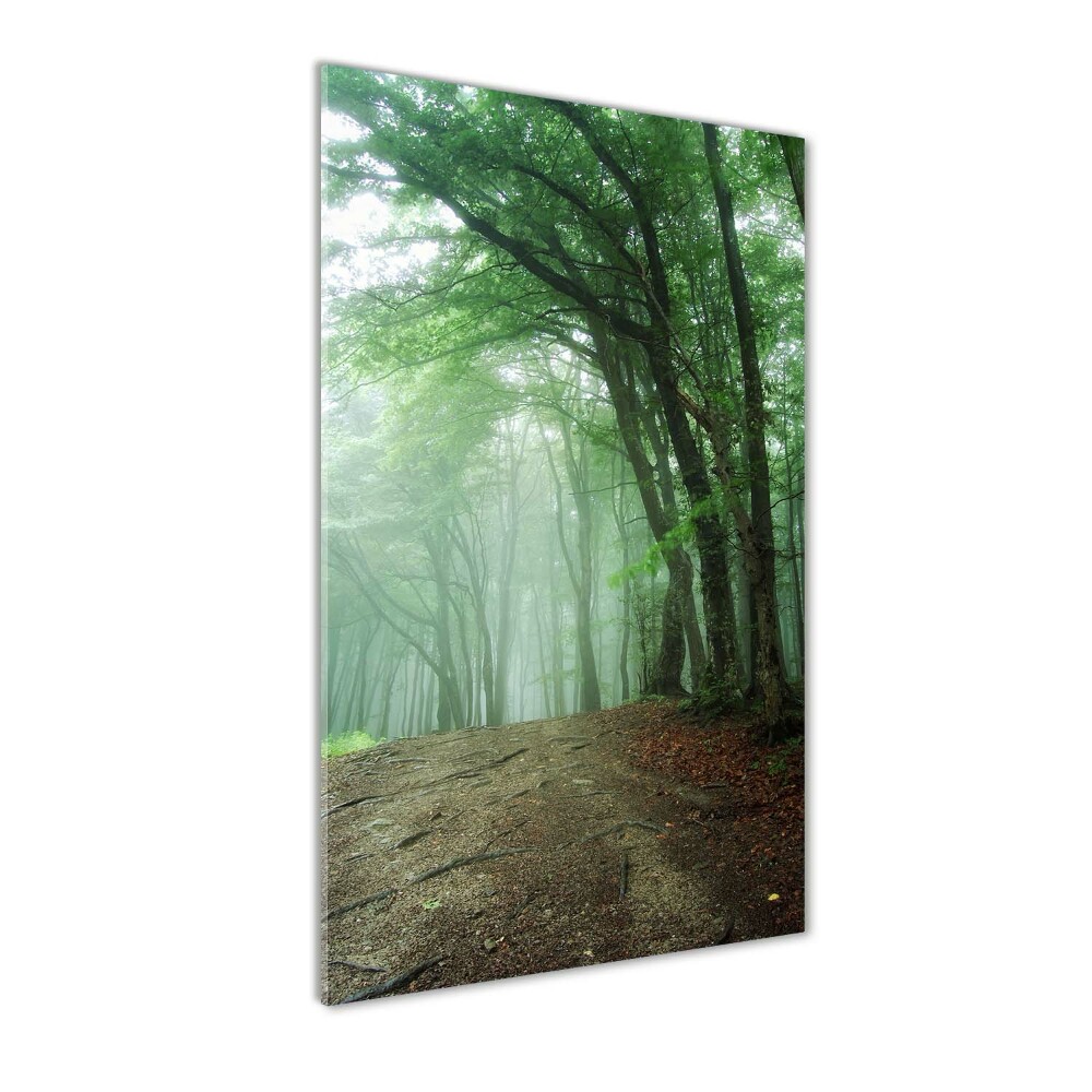 Tablou pe acril Ceață în pădure