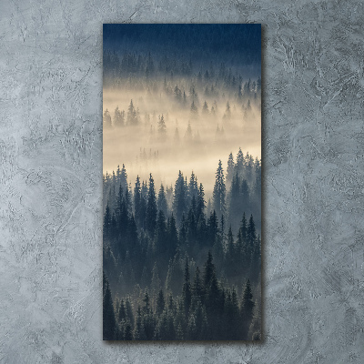 Tablou sticlă acrilică Ceață peste pădure
