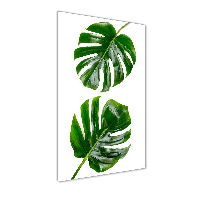 Tablou pe sticlă acrilică Monstera