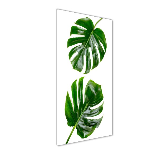 Tablou pe sticlă acrilică Monstera