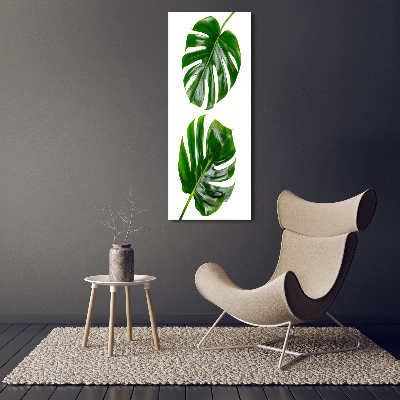 Tablou pe sticlă acrilică Monstera