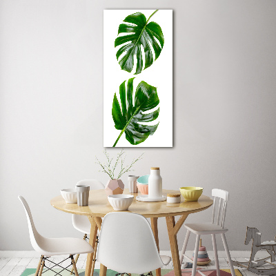 Tablou pe sticlă acrilică Monstera