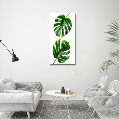 Tablou pe sticlă acrilică Monstera