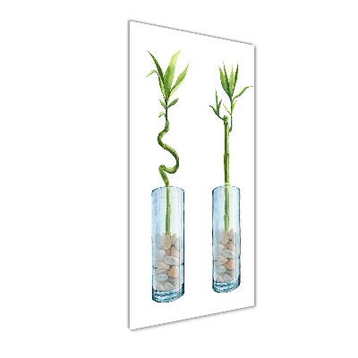 Tablou acrilic Bamboo într-un vas