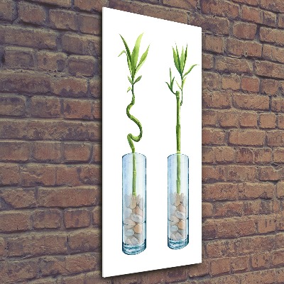 Tablou acrilic Bamboo într-un vas
