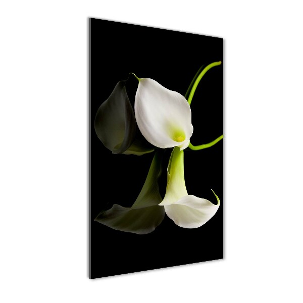 Tablou sticlă acrilică calla alb