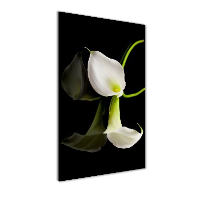 Tablou sticlă acrilică calla alb