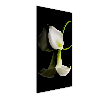 Tablou sticlă acrilică calla alb