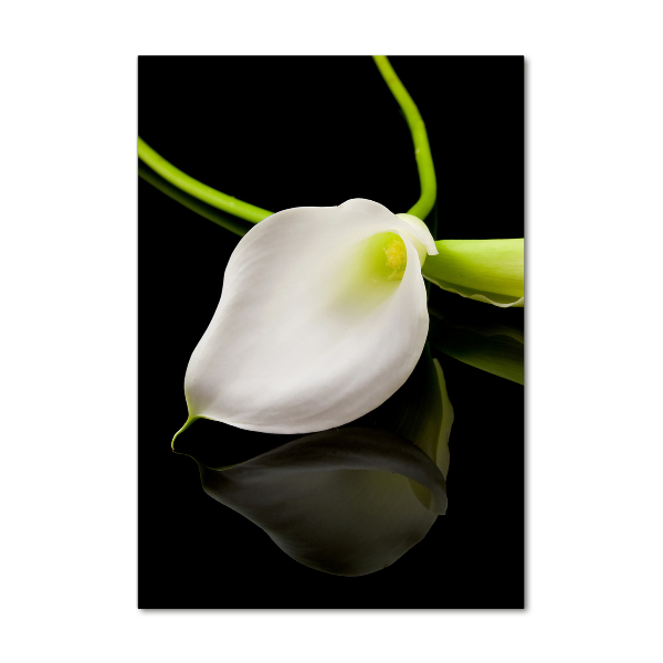 Tablou sticlă acrilică calla alb