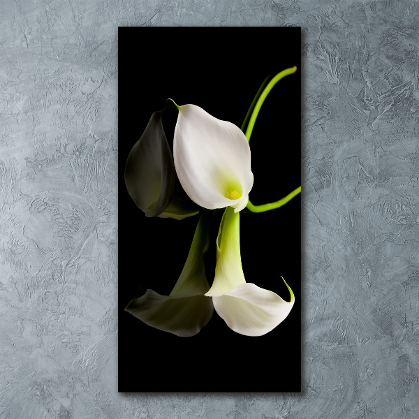 Tablou sticlă acrilică calla alb