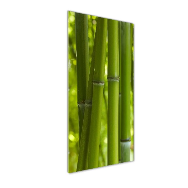 Tablou acrilic pădure de bambus