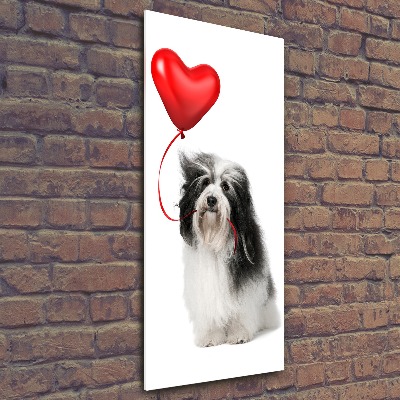 Tablou pe acril balon havanese