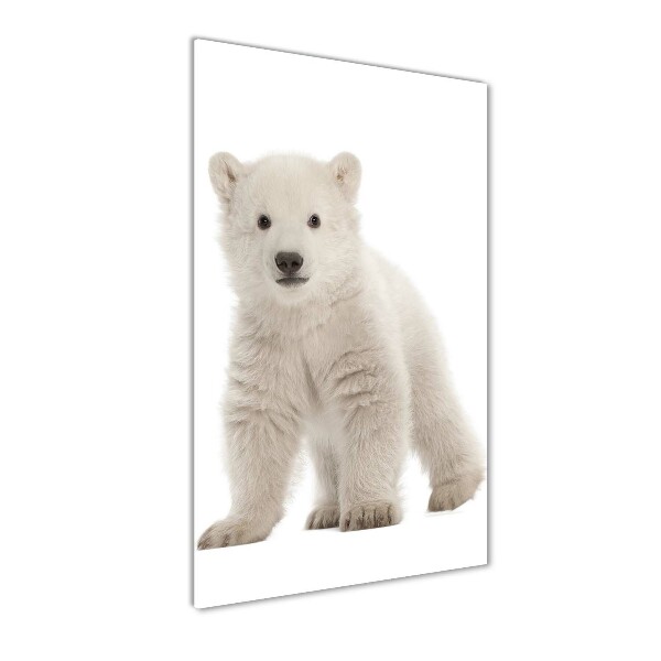 Tablou pe sticlă acrilică Un urs polar