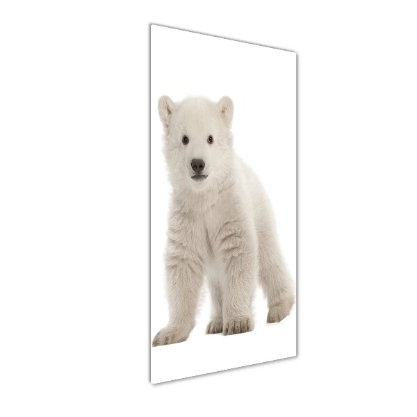 Tablou pe sticlă acrilică Un urs polar