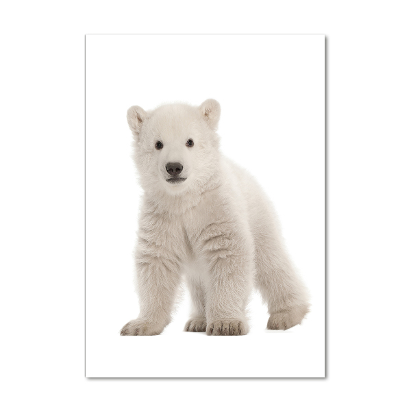Tablou pe sticlă acrilică Un urs polar