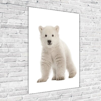 Tablou pe sticlă acrilică Un urs polar