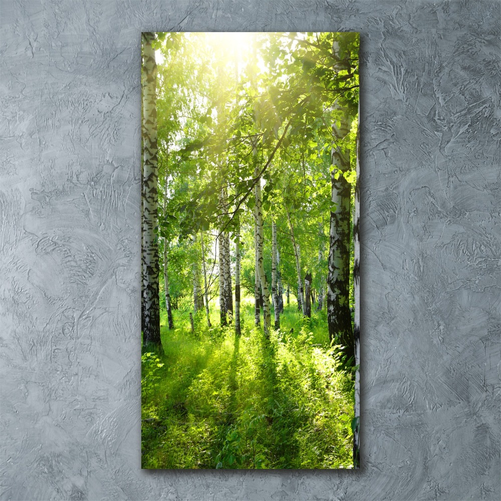 Tablou pe sticlă acrilică pădurea de mesteacăn