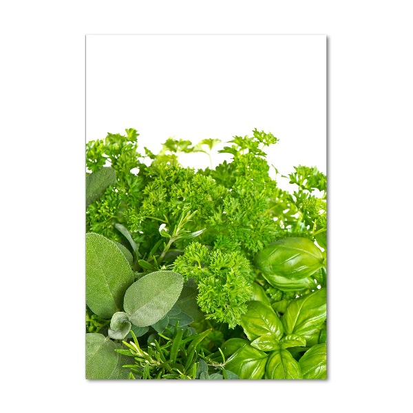 Tablou sticlă acrilică Ierburi