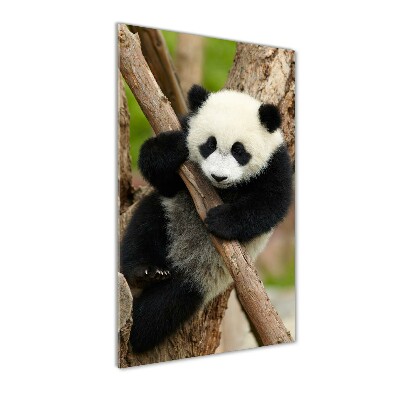 Tablou pe acril Panda într-un copac