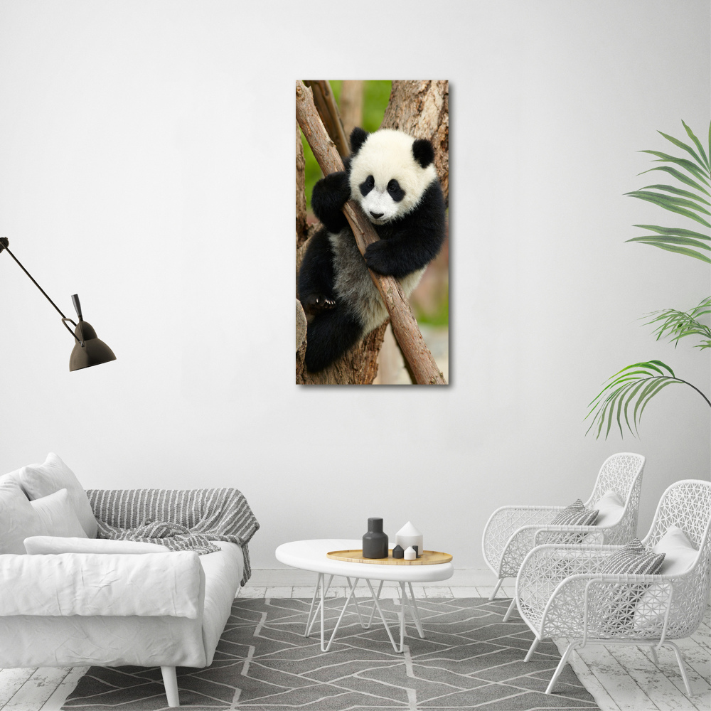 Tablou pe acril Panda într-un copac
