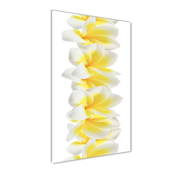 Tablou pe acril plumeria