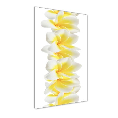 Tablou pe acril plumeria