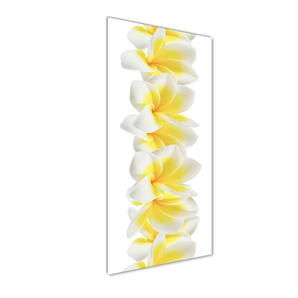 Tablou pe acril plumeria