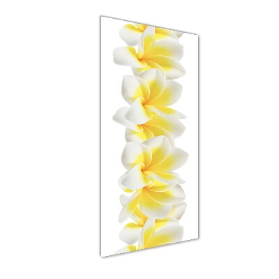 Tablou pe acril plumeria