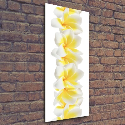 Tablou pe acril plumeria
