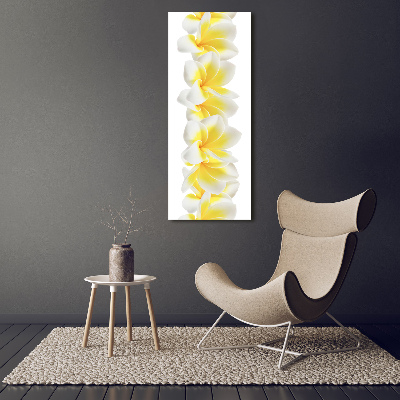 Tablou pe acril plumeria
