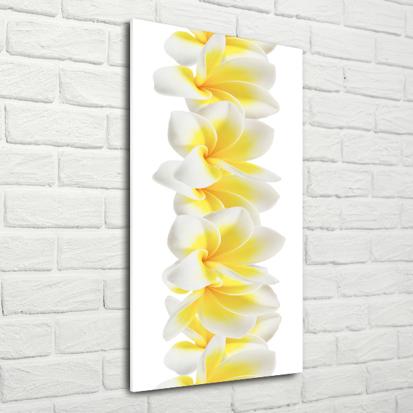 Tablou pe acril plumeria