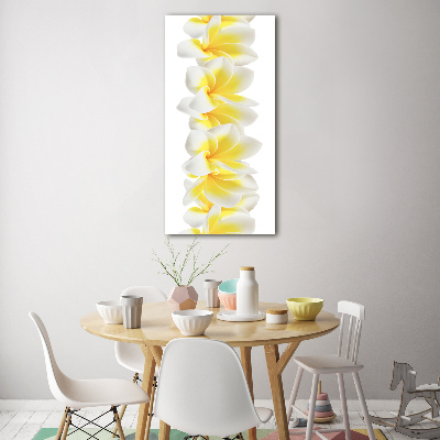 Tablou pe acril plumeria