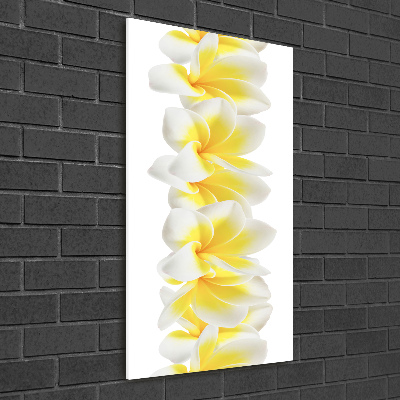 Tablou pe acril plumeria