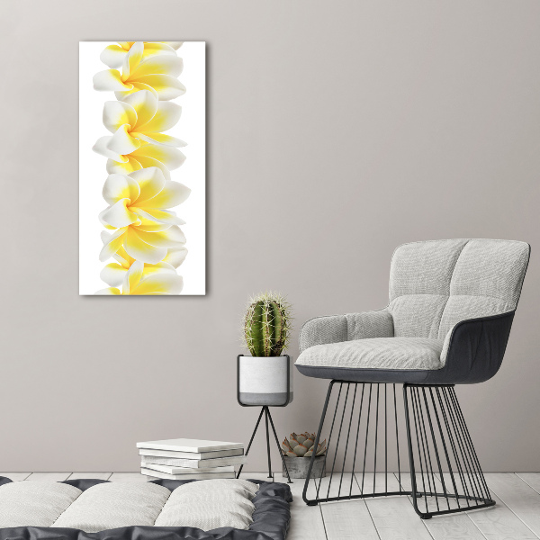 Tablou pe acril plumeria