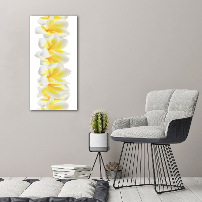 Tablou pe acril plumeria