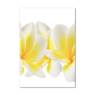 Tablou pe acril plumeria