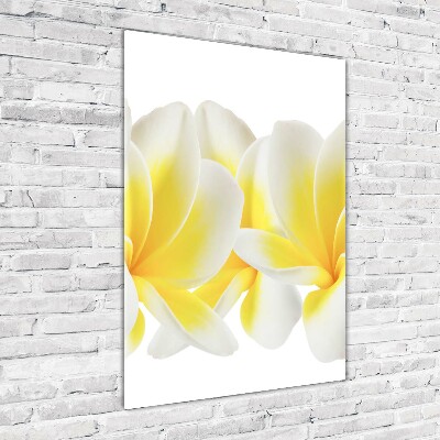 Tablou pe acril plumeria