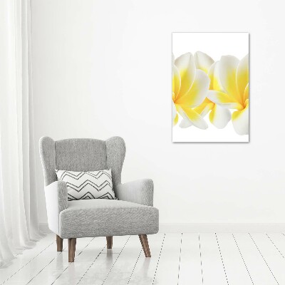 Tablou pe acril plumeria