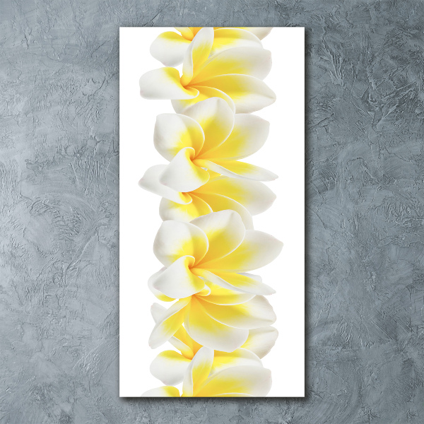 Tablou pe acril plumeria