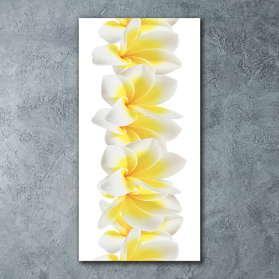Tablou pe acril plumeria