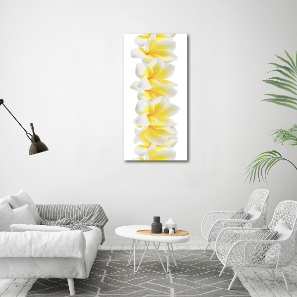 Tablou pe acril plumeria