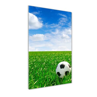 Tablou sticlă acrilică Fotbal pe pajiște