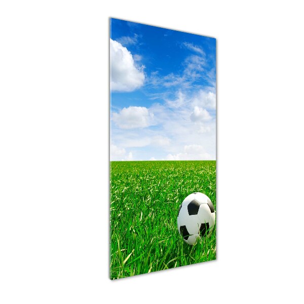 Tablou sticlă acrilică Fotbal pe pajiște