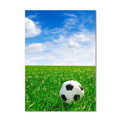 Tablou sticlă acrilică Fotbal pe pajiște