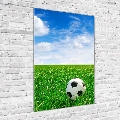 Tablou sticlă acrilică Fotbal pe pajiște