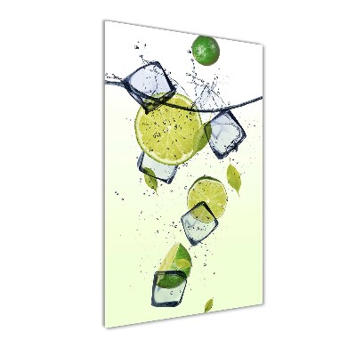 Tablou acrilic Limes și gheață
