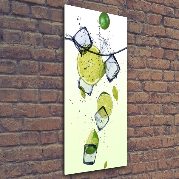 Tablou acrilic Limes și gheață