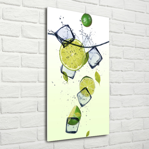 Tablou acrilic Limes și gheață